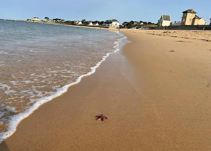 Unique ! Accès Direct à La ! Duplex Avec Grand Solarium Appartement *