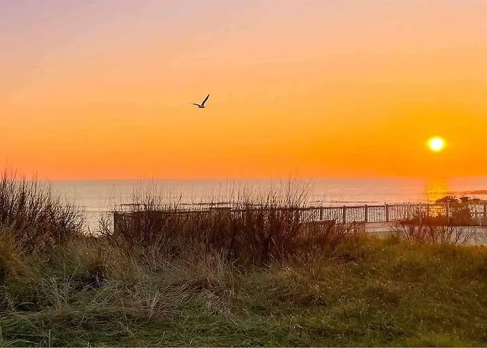 Valentin ! Un Duplex Sur La